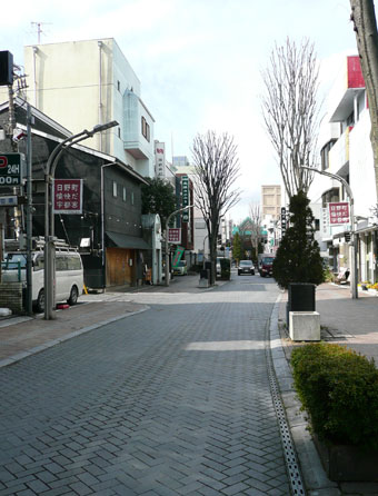 遠景写真