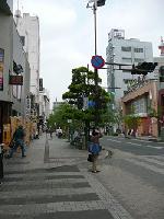 遠景写真