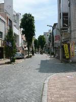 遠景写真